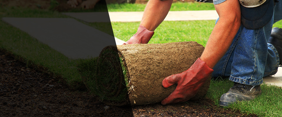 Fellsmere Landscapers